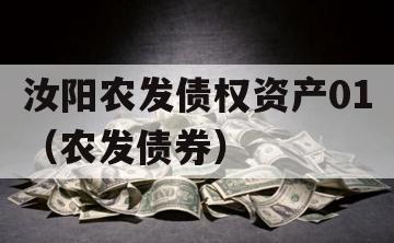 汝阳农发债权资产01（农发债券）