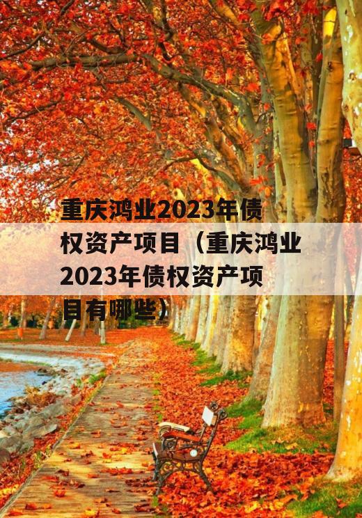 重庆鸿业2023年债权资产项目（重庆鸿业2023年债权资产项目有哪些）