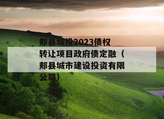 郏县城投2023债权转让项目政府债定融（郏县城市建设投资有限公司）