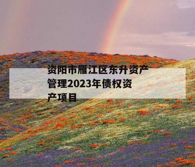 资阳市雁江区东升资产管理2023年债权资产项目