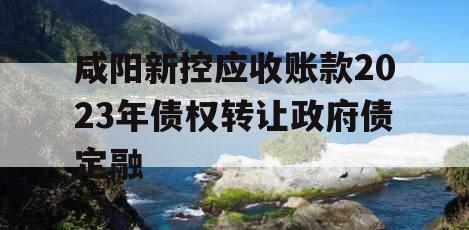 咸阳新控应收账款2023年债权转让政府债定融