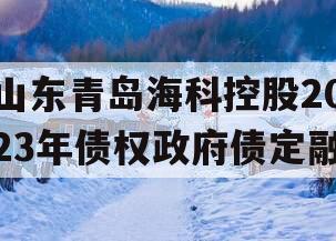 山东青岛海科控股2023年债权政府债定融