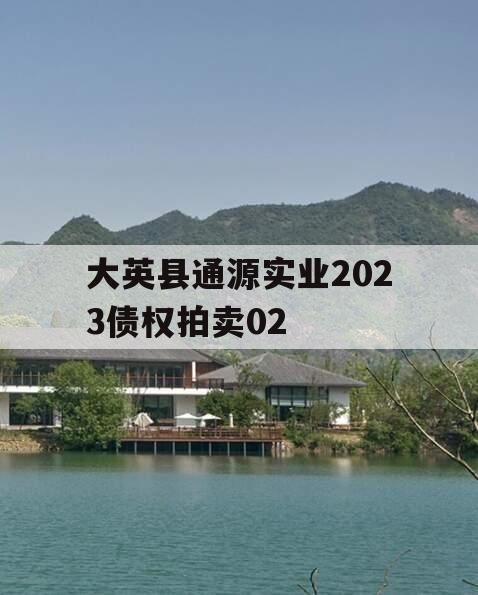 大英县通源实业2023债权拍卖02