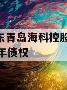 山东青岛海科控股2023年债权