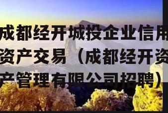 成都经开城投企业信用资产交易（成都经开资产管理有限公司招聘）