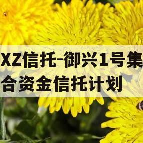 XZ信托-御兴1号集合资金信托计划