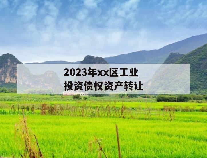 2023年xx区工业投资债权资产转让