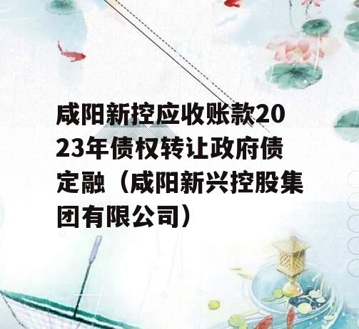 咸阳新控应收账款2023年债权转让政府债定融（咸阳新兴控股集团有限公司）