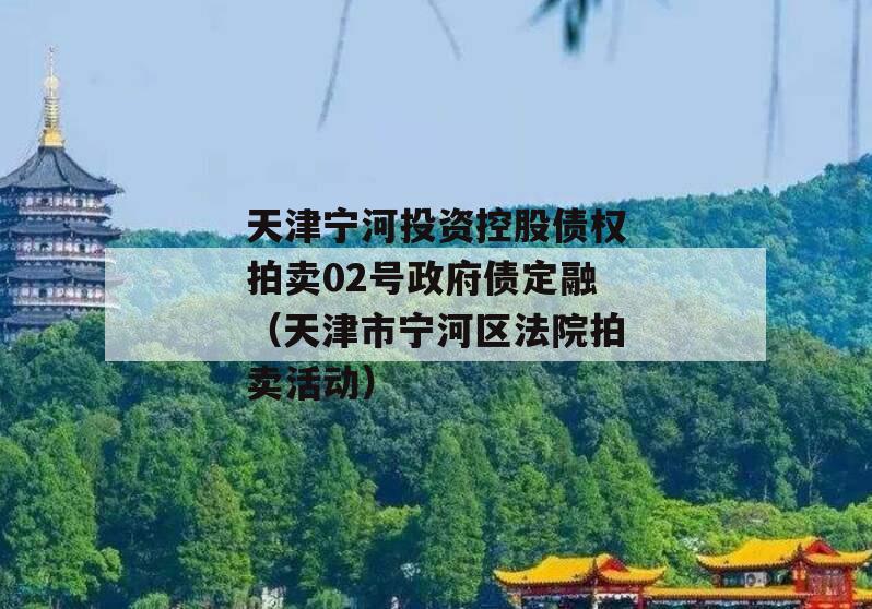 天津宁河投资控股债权拍卖02号政府债定融（天津市宁河区法院拍卖活动）