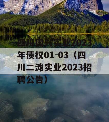 四川国兴实业2023年债权01-03（四川二滩实业2023招聘公告）