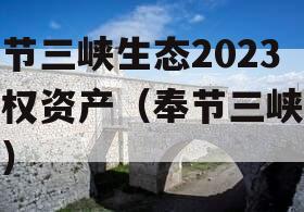 奉节三峡生态2023债权资产（奉节三峡大坝）