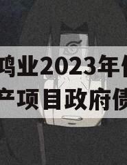 重庆鸿业2023年债权资产项目政府债定融