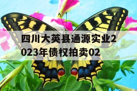 四川大英县通源实业2023年债权拍卖02