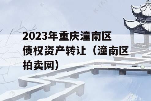 2023年重庆潼南区债权资产转让（潼南区拍卖网）