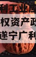 四川广利工业应收2023年债权资产政府债定融（遂宁广利公司债）