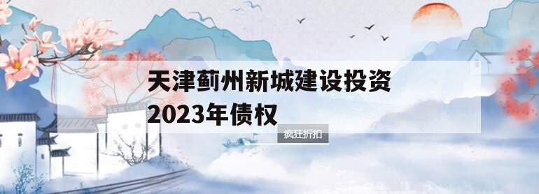 天津蓟州新城建设投资2023年债权