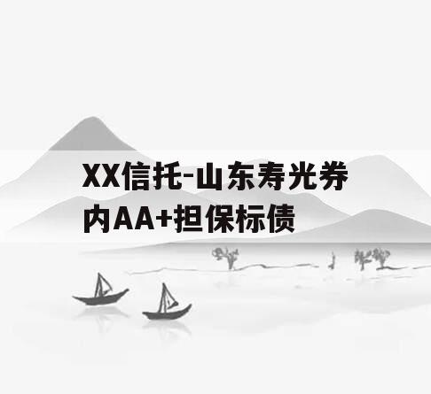 XX信托-山东寿光券内AA+担保标债