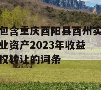 包含重庆酉阳县酉州实业资产2023年收益权转让的词条