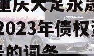 包含重庆大足永晟实业发展2023年债权资产1号的词条