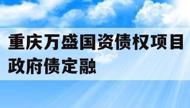 重庆万盛国资债权项目政府债定融