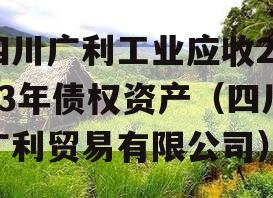 四川广利工业应收2023年债权资产（四川广利贸易有限公司）