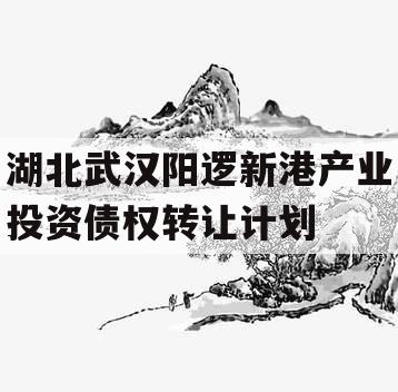 湖北武汉阳逻新港产业投资债权转让计划