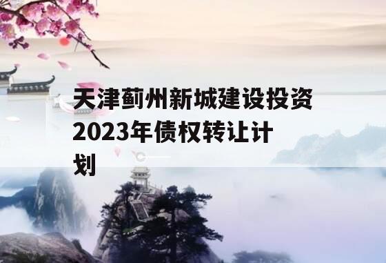 天津蓟州新城建设投资2023年债权转让计划