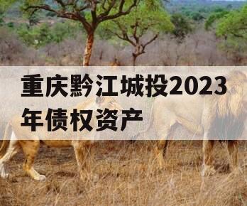 重庆黔江城投2023年债权资产