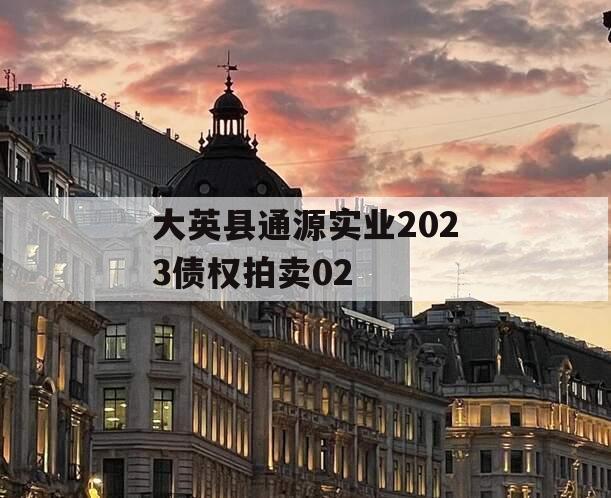 大英县通源实业2023债权拍卖02