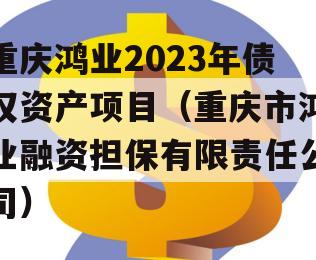 重庆鸿业2023年债权资产项目（重庆市鸿业融资担保有限责任公司）