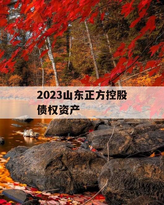 2023山东正方控股债权资产