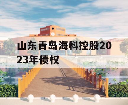 山东青岛海科控股2023年债权