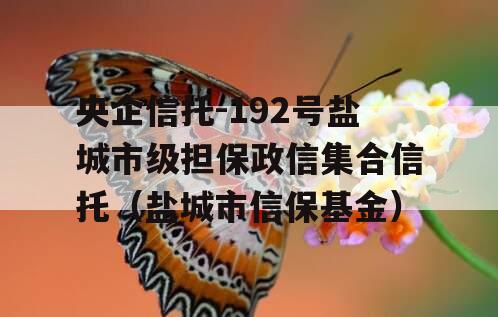 央企信托-192号盐城市级担保政信集合信托（盐城市信保基金）