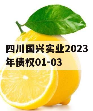 四川国兴实业2023年债权01-03