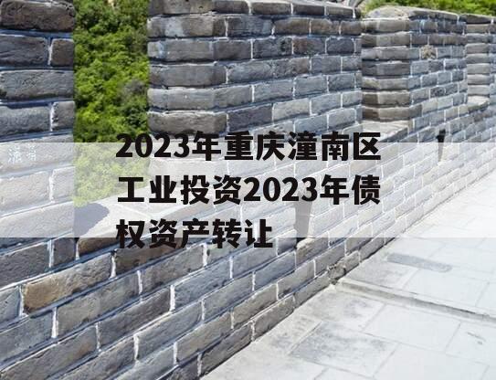 2023年重庆潼南区工业投资2023年债权资产转让