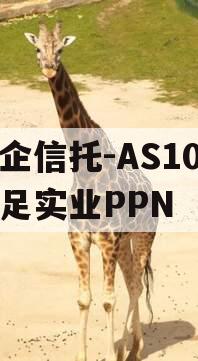 央企信托-AS10号大足实业PPN