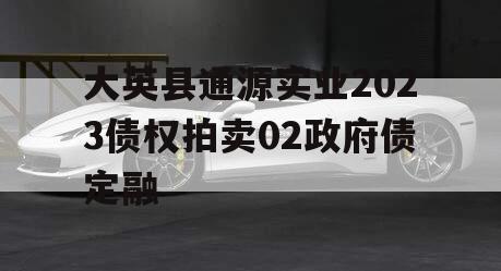 大英县通源实业2023债权拍卖02政府债定融