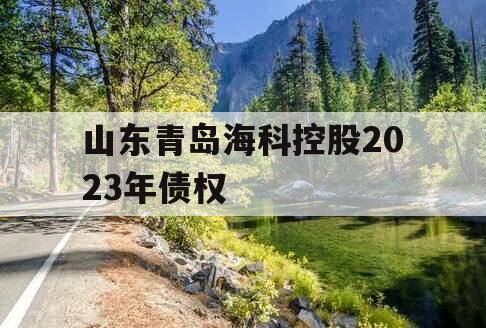 山东青岛海科控股2023年债权