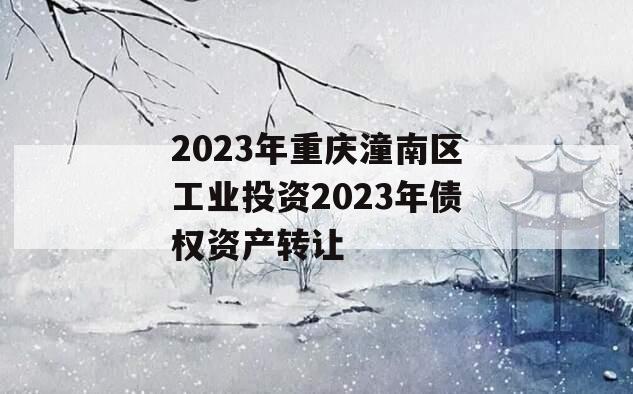 2023年重庆潼南区工业投资2023年债权资产转让