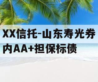 XX信托-山东寿光券内AA+担保标债