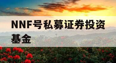 NNF号私募证券投资基金