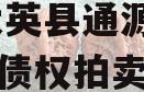 四川大英县通源实业2023年债权拍卖02