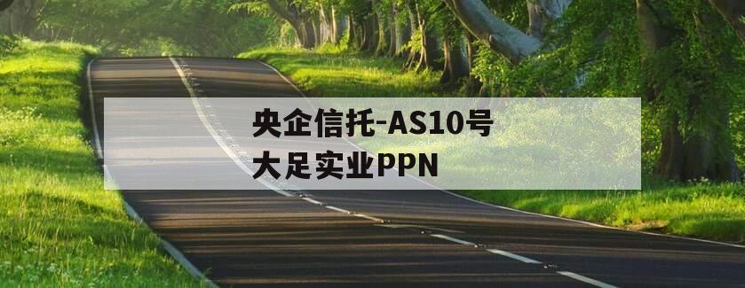 央企信托-AS10号大足实业PPN