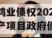 重庆鸿业债权2023年资产项目政府债定融