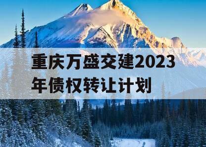 重庆万盛交建2023年债权转让计划