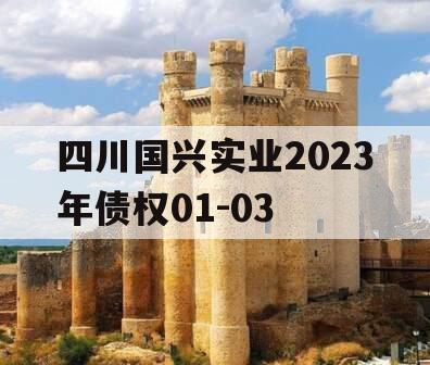 四川国兴实业2023年债权01-03