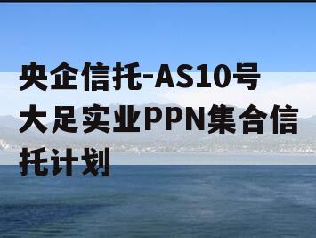 央企信托-AS10号大足实业PPN集合信托计划