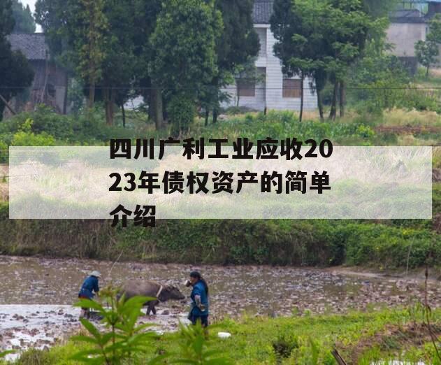 四川广利工业应收2023年债权资产的简单介绍