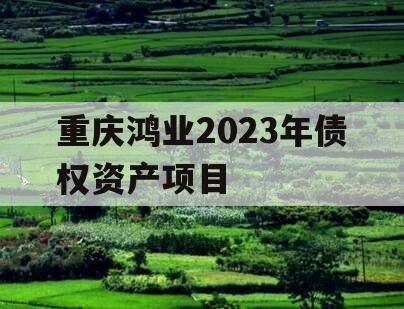 重庆鸿业2023年债权资产项目