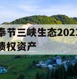 奉节三峡生态2023债权资产